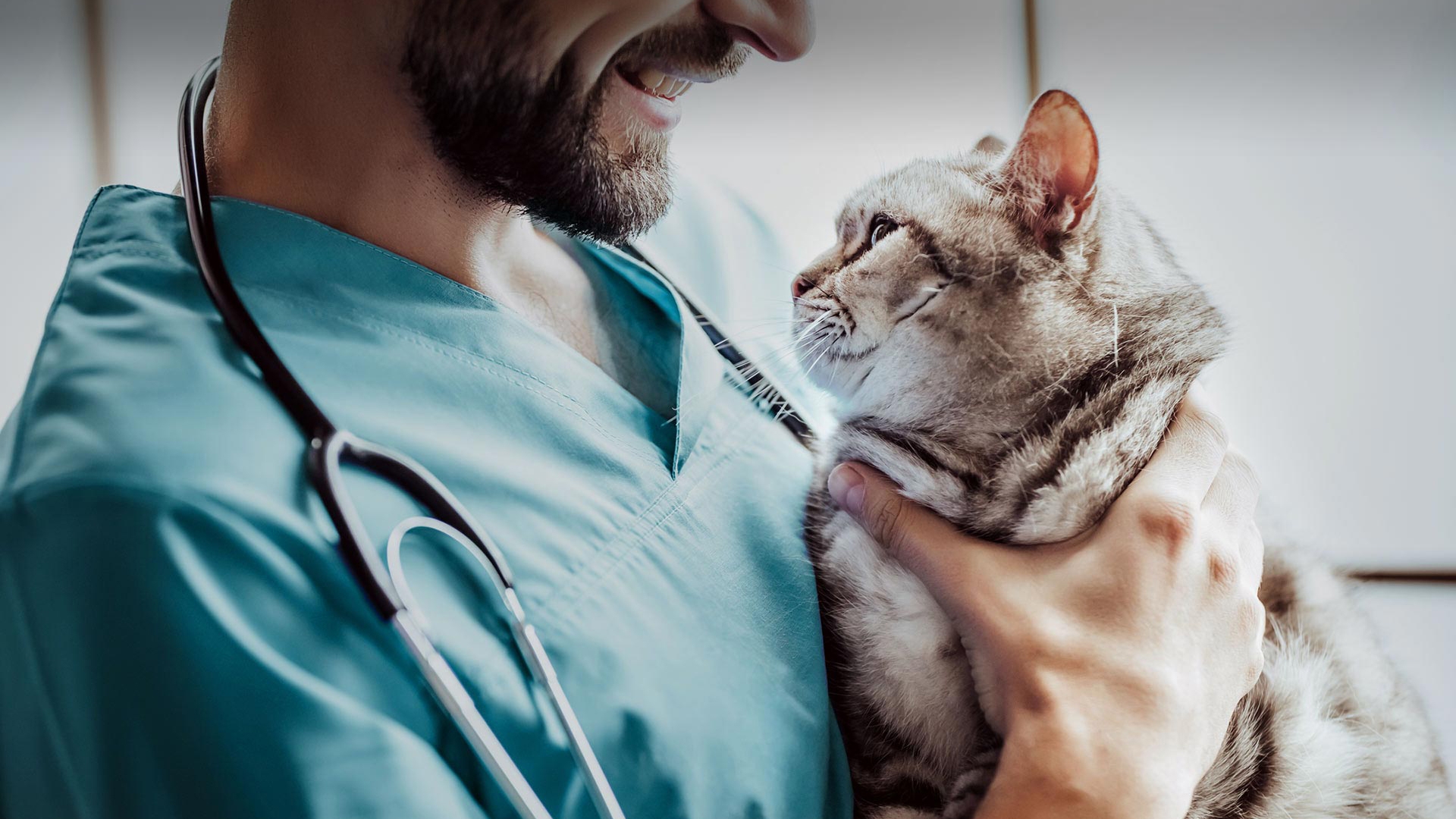 Sultanhisar Veteriner